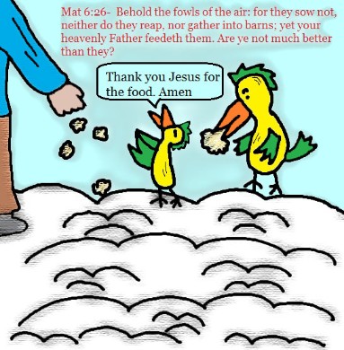 Bird Clipart